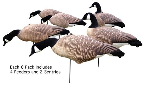 cheap canada goose decoys for sale